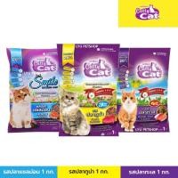 ราคา Catty Cat อาหารแมวแคทตี้แคท อาหารเม็ดแมวโต รสแซลม่อน/รสปลาทูน่า/รสปลาทะเล ขนาดบรรจุ 1 กก. (11624920382)