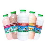 ราคา ♞,♘,♙พลัมการ์เด้นนมหวาน 225ml*8 ขวดของสตรอเบอร์รี่แคนตาลูปแคนตาลูปชวนรสชาติของนักเรียนอาหารเช้าเด็ก (43652402685)