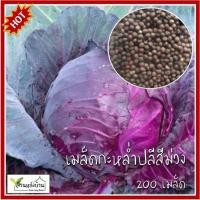 ราคา 200 เมล็ด กะหล่ำปลีม่วง เมล็ดกะหล่ำปลีม่วง กะหล่ำม่วง เมล็ดกะหล่ำม่วง กะหล่ำปลีสีม่วง (23624715297)