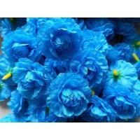 ราคา ดอกมะลิวันแม่ ดอกมะลิบานสีฟ้า ดอกมะลิร้อยมาลัย ดอกมะลิ (11419940713)