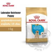 ราคา Royal Canin Labrador Retriever Puppy อาหารสำหรับลูกสุนัขพันธุ์ลาบราดอร์ รีทรีฟเวอร์ อายุไม่เกิน15เดือน ขนาด3กก. (1843055949)