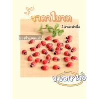ราคา 31.พร้อมส่งของจิ๋ว แมลง เต่าทอง แมลงจิ๋ว แมงเต่าทอง แมลงเต่าทองตกแต่งสวนจิ๋ว (22517009579)
