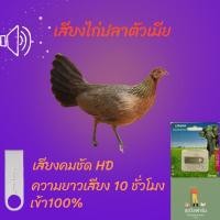 ราคา เสียงไก่ป่าตัวเมีย,ความยาวเสียง10ชั่วโมง ใน Flash Drive ขนาด 1GB (25507062139)