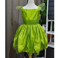 ราคา 002 พร้อมส่งในไทย ชุดแฟนซีทิงเกอร์เบลล์ ชุดทิงเกอร์เบลล์ (Tinkerbell) ปีเตอร์แพน Peterpan (26381264313)