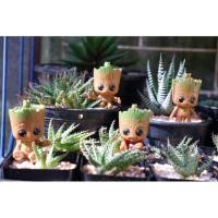 ราคา ตุ๊กตาเบบี้กรูท​ สำหรับตกเเต่ง​กระถางเเคคตัส (3188013123)