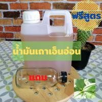 ราคา น้ำมันเถาเอ็นอ่อน เกรด A ขนาด 1 ลิตร แถมฟรีขวดแก้ว ขนาด 100 ml. และฟรีสูตรทำน้ำมันนวด และอื่นๆ (12124217536)