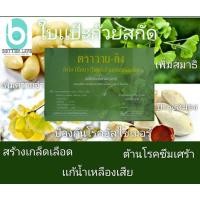 ราคา วายกิง ใบแปะก๊วยสกัด (13224895286)