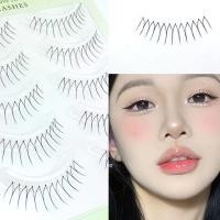 ราคา 【สามารถส่งจากคลังสินค้าที่ไทยได้】5คู่12มิลลิเมตรการ์ตูนนางฟ้าตุ๊กตาบาร์บี้ลมเริ่มต้นต้องมีขนตาปลอมรูปตัวยู (26272964544)