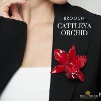 ราคา Royal Orchid collection เข็มกลัดดอกกล้วยไม้แคทลียา Real Cattleya orchid on brooch (21971506452)