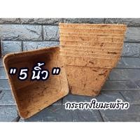 ราคา กระถางใยมะพร้าว 1เเพคมี5ชิ้น กระถางรักษ์โลก ย่อยสลายได้ ใยมะพร้าว ขนาด 5นิ้ว ทำจากใยมะพร้าว100% (13464118990)