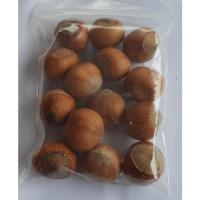 ราคา ขายส่ง เมล็ดเฮเซลนัท hazelnut พืชตระกูลถั่ว พืชเศรษฐกิจ ไม้พุ่ม เมล็ดพันธุ์พืช ผลไม้ ธัญพืช ผลไม้แห้ง 10 เมล็ด (15411728607)