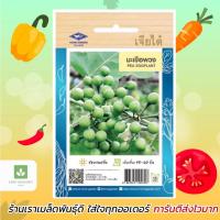ราคา มะเขือพวง เจียไต๋ เมล็ดพันธุ์มะเขือพวง มะเขือพวงไร้หนาม (913411573)