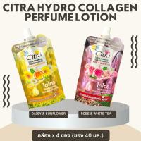 ราคา CITRA ซิตร้า ไฮโดร คอลลาเจน เพอร์ฟูม โลชั่น กล่อง x 4ซอง [ ซอง 30 มล. ] (20989427852)