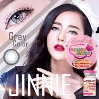 ราคา KittyKawaii Jinnie Eff.19 Gray ใหญ่ (25676683665)