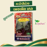 ราคา เมล็ดพันธุ์ คะน้าสีม่วง เพอเพิล เคล น้ำหนักสุทธิ 0.5 กรัม (41065253272)