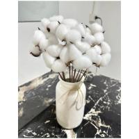 ราคา ดอกฝ้าย ดอกสวย ดอกcotton ส่งจากไทย ดอกฝ้ายธรรมชาติ ดอกฝ้ายจริง ดอกฝ้ายแห้งจริงตกแต่งก้านประดิษฐ์ ดอ (28555445407)