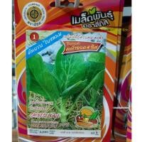 ราคา เมล็ดคะน้า 10 แถม 1 คะน้ายอด คะน้า เมล็ดผัก เมล็ดพันธุ์ ต้นอวบ ใบแหลม (4213486995)