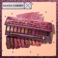 ราคา (พร้อมส่ง) Urban Decay Naked Cherry Eye Palette พาเลตต์อายแชโดว์ (7436479393)