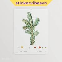 ราคา ภาพวาดผนัง โฟเม็กซ์ ภาษี แบคคาต้า ตกแต่งผนัง ห้องนอน กาวสองหน้า พิมพ์คําเรียกร้อง (49650693594)