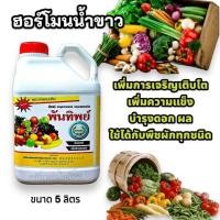 ราคา พันทิพย์ ฮอร์โมนน้ำขาว ขนาด5ลิตร ช่วยสร้างการเจริญเติบโต เพิ่มดอก ติดผล ใช้ได้กับพืชผักทุกชนิด (28468369078)