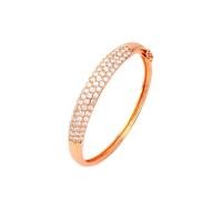 ราคา TANITTgems กำไลข้อมือนากประดับเพชรสุดหรู (216674223)