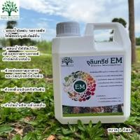 ราคา จุลินทรีย์ EM คุณภาพดี ขนาด 1 ลิตร (21938267340)
