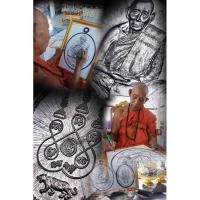 ราคา เหรียญรุ่นแรกยันต์หลังเสือ หลวงปู่เปลื้อง วัดพังดาน (25430163326)