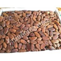 ราคา อินทผาลัมเดทเรทนัวร์ คัดเกรด ยกลัง 5กิโลกรัม (2458861512)