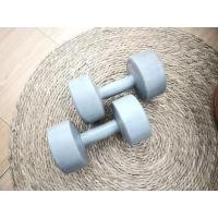 ราคา Dumbbell 6 KG x 2 ดัมเบล พลาสติก 6 กก. (แพ็คคู่)/สินค้ามือสอง (29056348619)