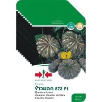 ราคา เมล็ดพันธุ์ ฟักทอง F1 ข้าวตอก 573 ตราศรแดง ขายส่ง ยกห่อ (1 ห่อ บรรจุ 10 ซอง) (45403458437)