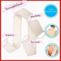 ราคา ใยบวบ ใยบวบขัดหลัง ขัดผิว มีสายคล้อง ใยบวบแท้100% สำหรับถูหลัง 1 ชิ้น (4822403778)