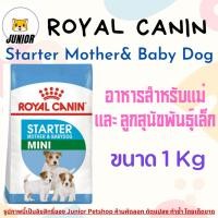 ราคา ถูกที่สุด!! Royal Canin Mini Starter Mother & Babydog ขนาด 1 กิโลกรัม อาหาร ลูกสุนัข และ แม่สุนัข พันธุ์เล็ก ขนาด 1 kg (19143897500)
