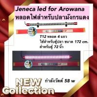 ราคา Jeneca led for Arowana Taning หลอดไฟสำหรับปลามังกรแดง T12 หลอด 4 แถว ใช้สำหรับตู้ปลา ขนาด 172 cm. สำหรับตู้ 72 นิ้ว (23220225811)