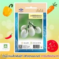 ราคา มะเขือไข่เต่าขาว เจียไต๋ เมล็ดมะเขือเปราะ ไข่เต่า (913401404)