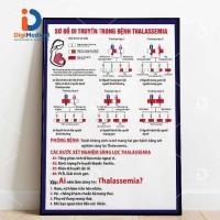 ราคา (สติ๊กเกอร์มูล) การวาดภาพสูติกรรม - แผนภาพทางพันธุกรรมของโรคโลหิตจาง -ความสามารถ (24329601277)
