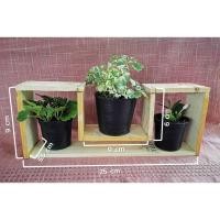 ราคา ชั้นวางจากไม้พาเลทจิ๋ว รูปตัวยู (4856675478)