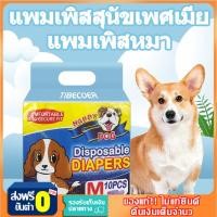 ราคา แพมเพิสหมา โอบิสุนัขตัวผู้ ผ้าอ้อมสุนัข โอบิสุนัขเพศผู้ แพมเพิสสุนัข แพมเพิสสุนัขตัวผู้ แพมเพิสสุนัขเพศเมีย ผ้าอ้อมหมา (16818482650)