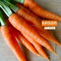 ราคา เมล็ดพันธุ์ แครอท 100 เมล็ด (8411053249)