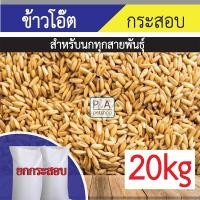 ราคา ยกกระสอบ!! ข้าวโอ๊ต/อาหารนกแก้ว และสัตว์ฟันแทะ/อาหารเสริมสำหรับนก[20kg] (27621735511)