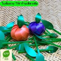 ราคา ใบส้มอวบ (ใบ+ก้าน) ตกแต่งเหรียญโปรยทาน พร้อมส่ง (28784068452)