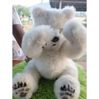 ราคา ตุ๊กตาหมีขาวตัวใหญ่ป้ายfurreal friends (26922730685)