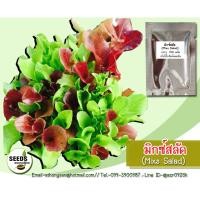 ราคา เมล็ดพันธุ์ผักมิกซ์สลัด (Mixs Salad) 200 เมล็ด (28425823737)