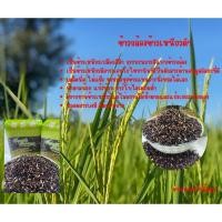 ราคา ข้าวกล้องเหนียวดำ (ก่ำ)Brown rice, black glutinous rice (29459321101)