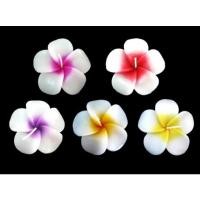 ราคา ดอกลีลาวดีดอกไม้เทียนลอยน้ำ (18734607965)