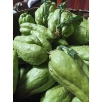 ราคา พันธุ์ฟักแม้ว ลูกแก่ พร้อมปลูก ต้นละ 25 บาท ขั้นต่ำ2ลูก (22749839976)