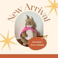 ราคา ตุ๊กตากระต่าย Peter Rabbit (27258914211)