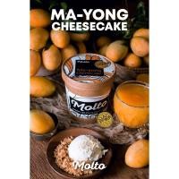 ราคา Ma-Yong Cheesecake (ไอศกรีม มะยงชิด ชีสเค้ก 1 ถ้วย 16 oz.) - Molto Premium Gelato (10188861746)
