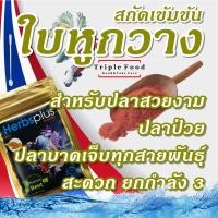 ราคา อาหารปลา ใบหูกวาง สกัดเข้มข้น UHT ปลากัด ปลากัดป่า ปลาสายกัด ปลาสวยงาม ปลาป่วย ปลามีแผล ปลาบาดเจ็บ (19881122528)