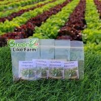 ราคา เมล็ดพันธุ์ผัก วอเตอร์เครส แท้ (สลัดน้ำ) Watercress บรรจุ 150-200 เมล็ด (15832148395)