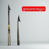 ราคา ลูกดอกยิงหนู (สั่งขั้นต่ำ 2 อัน) ลูกดอก ยิงหนู ลูกดอกยิงปลา ลูกดอกยิงหนู ลูกดอกเหล็ก (43962168342)